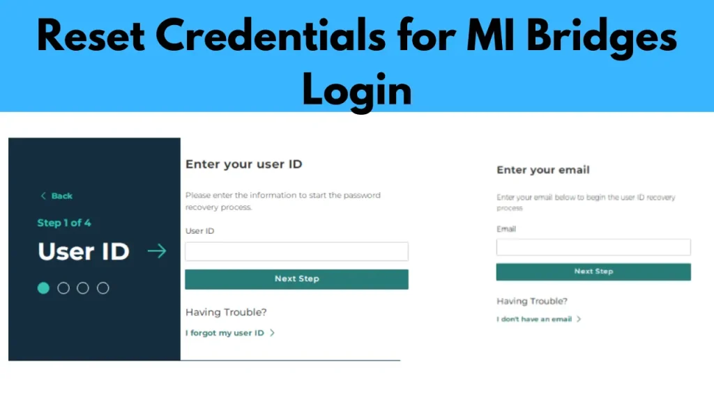 Reset Credentials for MI Bridges Login